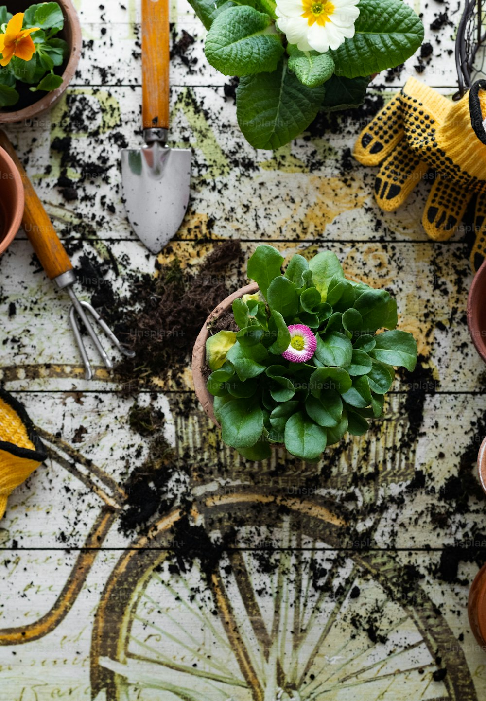 uma mesa coberta com vasos de plantas e utensílios de jardinagem
