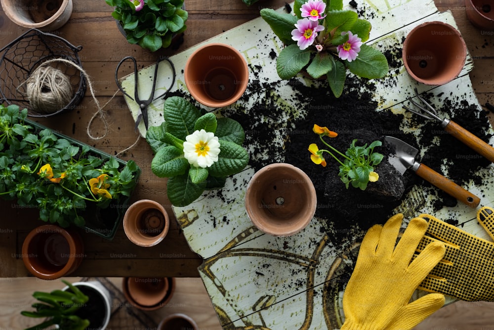 uma mesa coberta com vasos de plantas e luvas de jardinagem