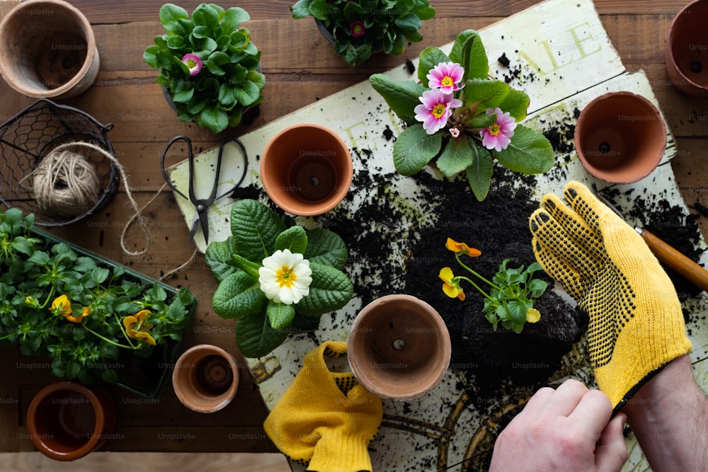 a person holding a yellow glove over a table filled with potted plants