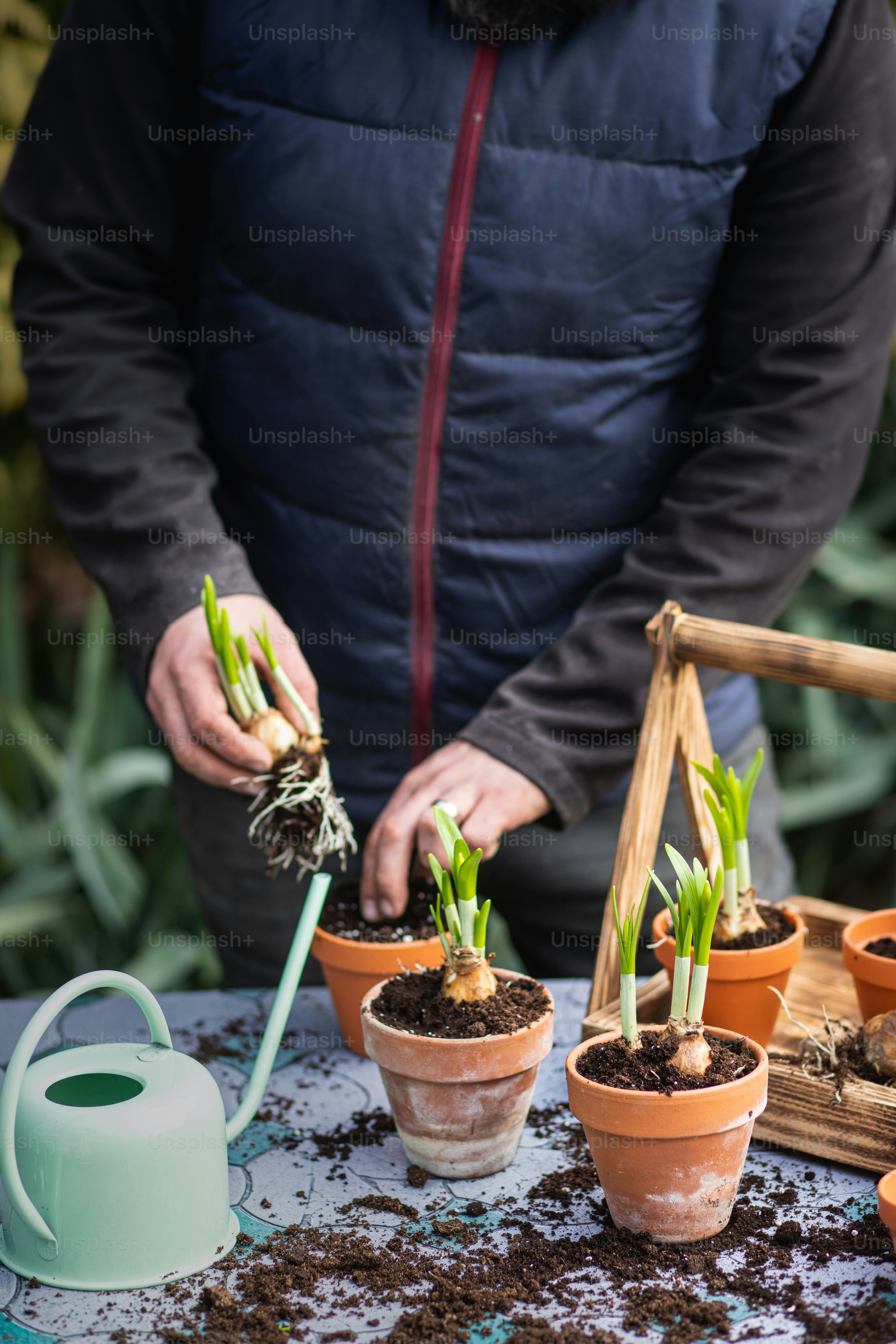 a man in a blue jacket and some potted plants