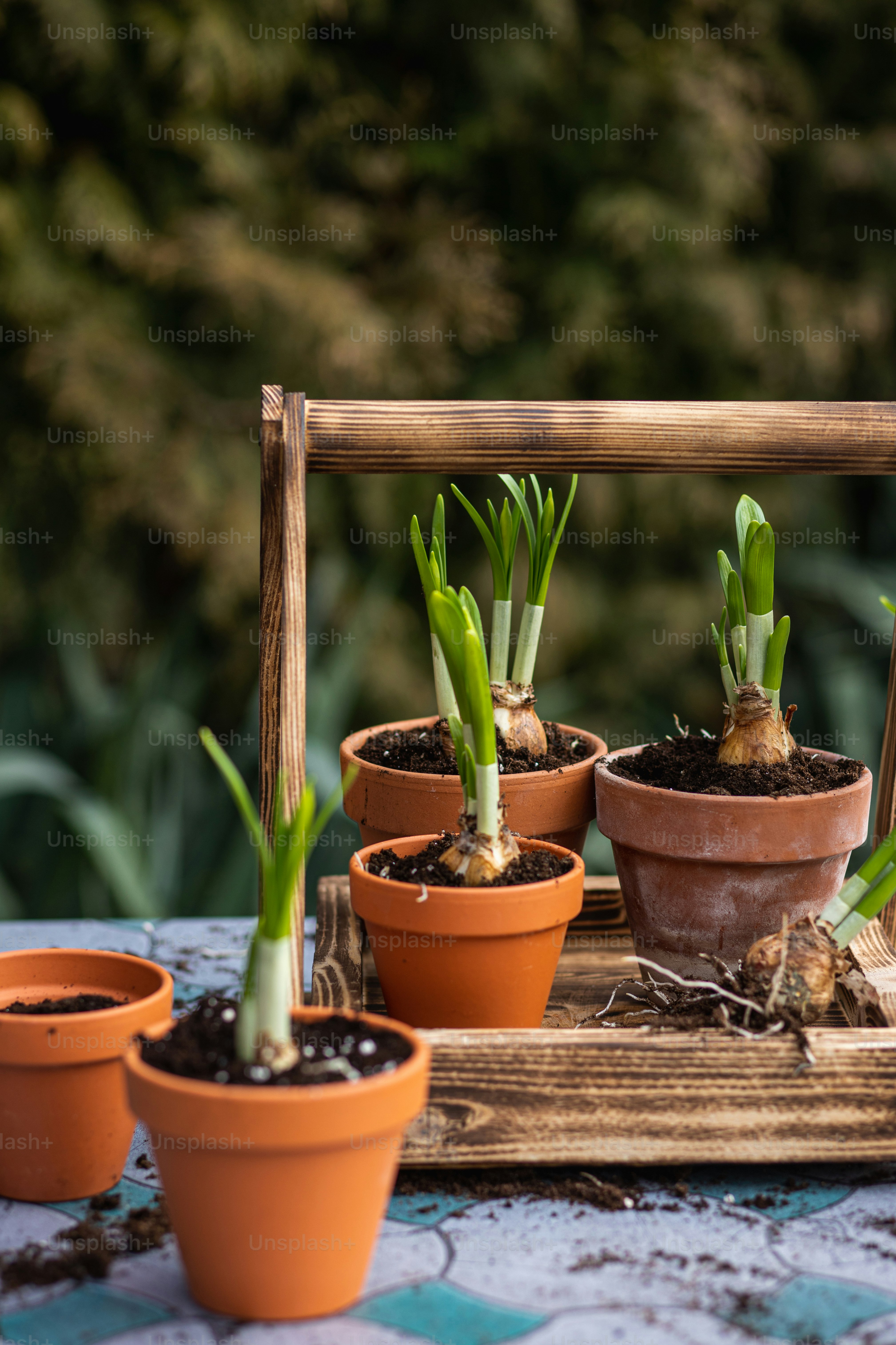 테이블 위에 앉아 있는 화분 그룹