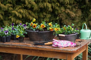 a wooden table topped with potted plants and gardening tools