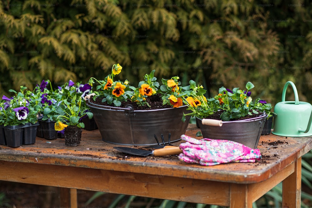 un tavolo di legno sormontato da piante in vaso e attrezzi da giardinaggio
