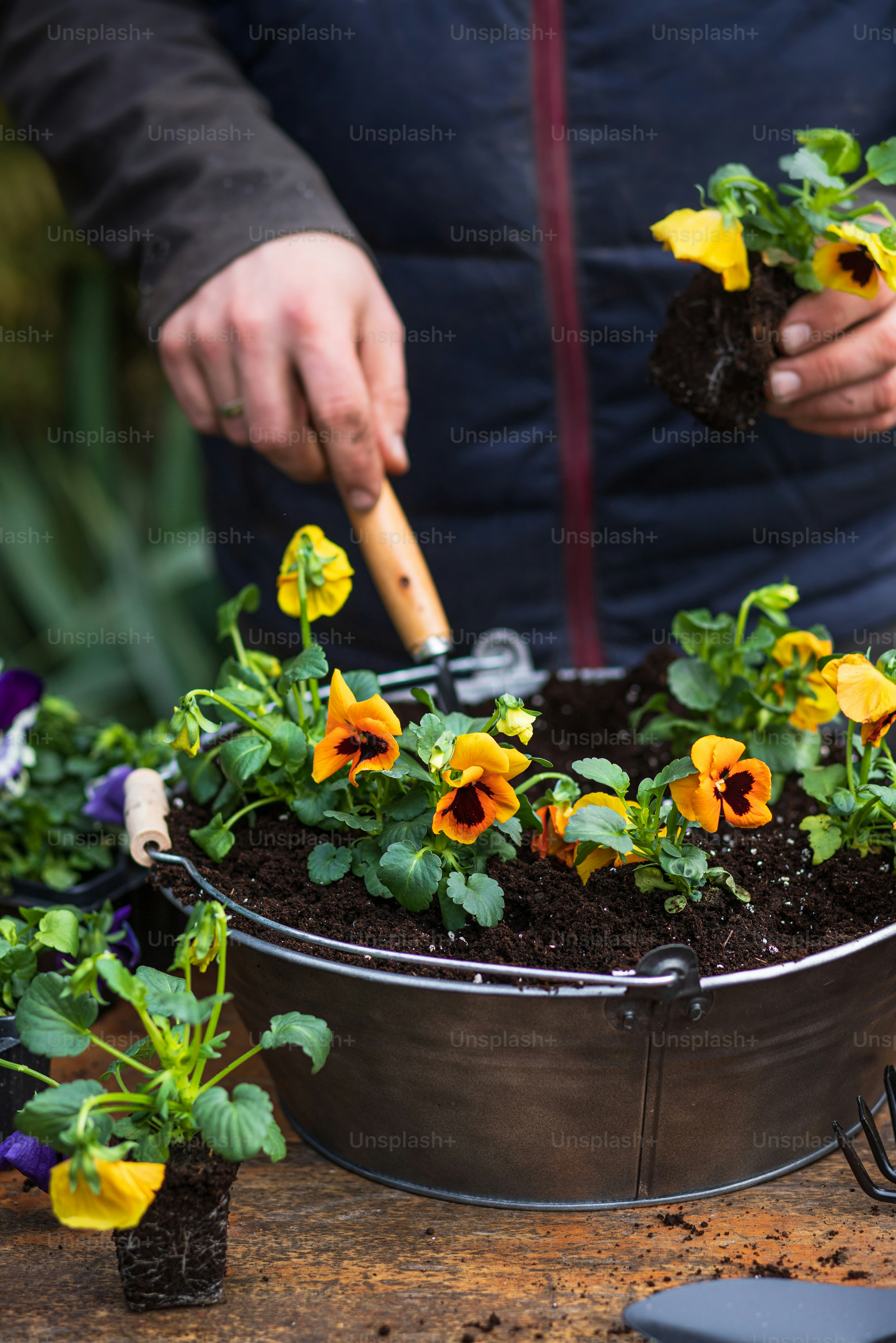 a potted plant with yellow and orange flowers