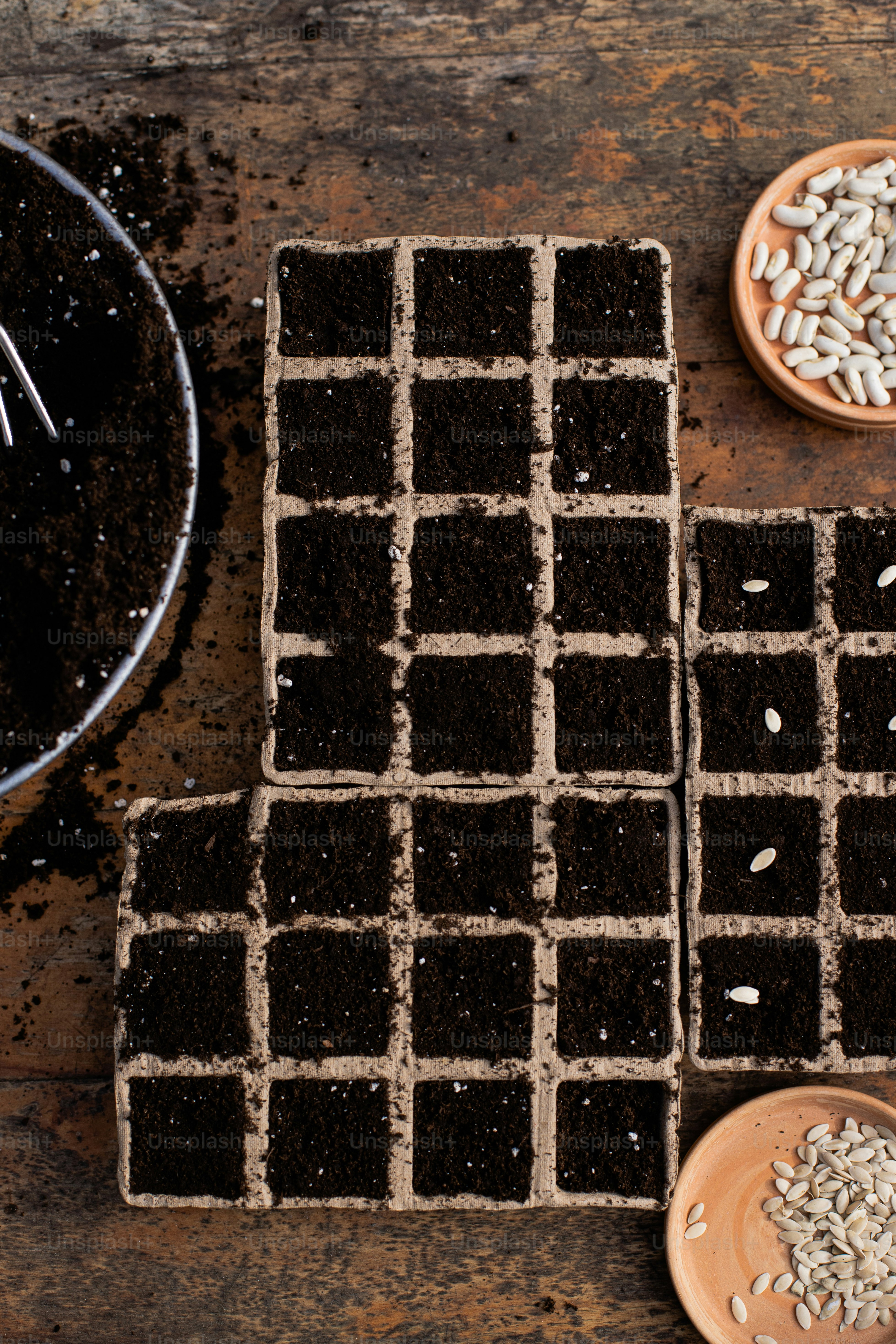 a table topped with chocolate squares covered in dirt