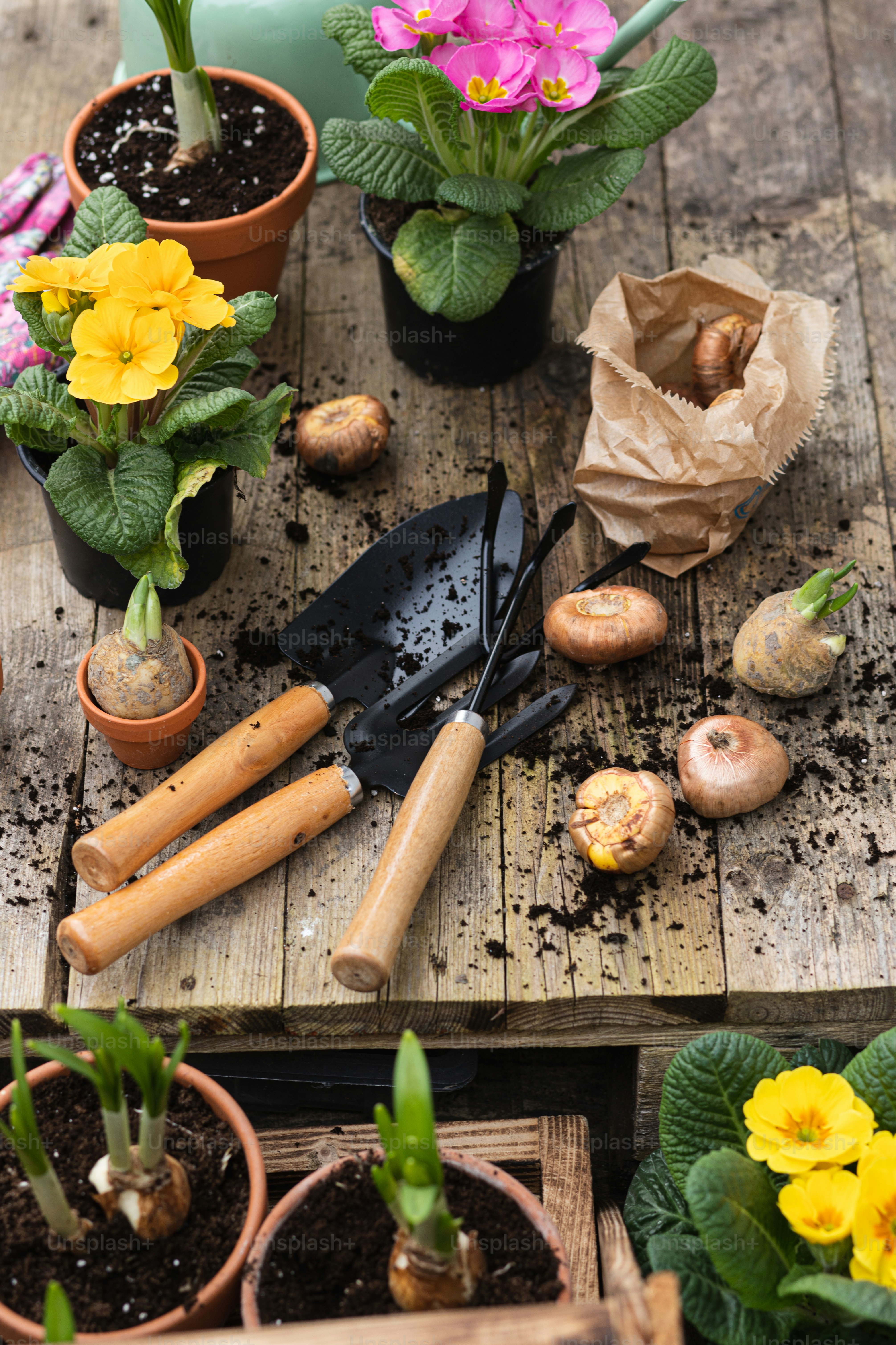 ein Holztisch mit Topfpflanzen und Gartenutensilien