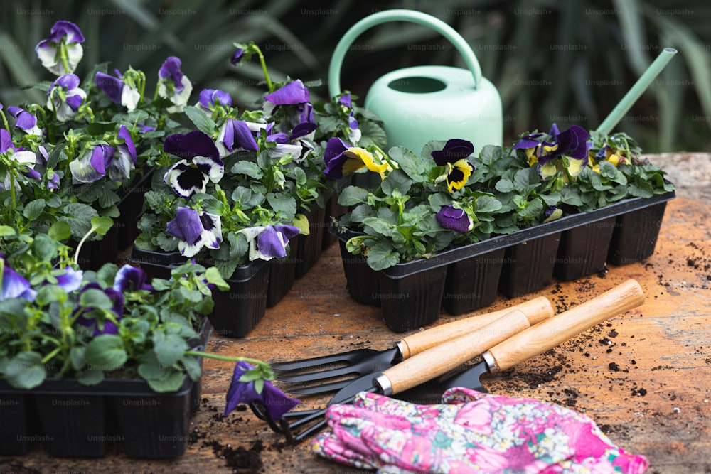uma mesa coberta com vasos de plantas e utensílios de jardinagem