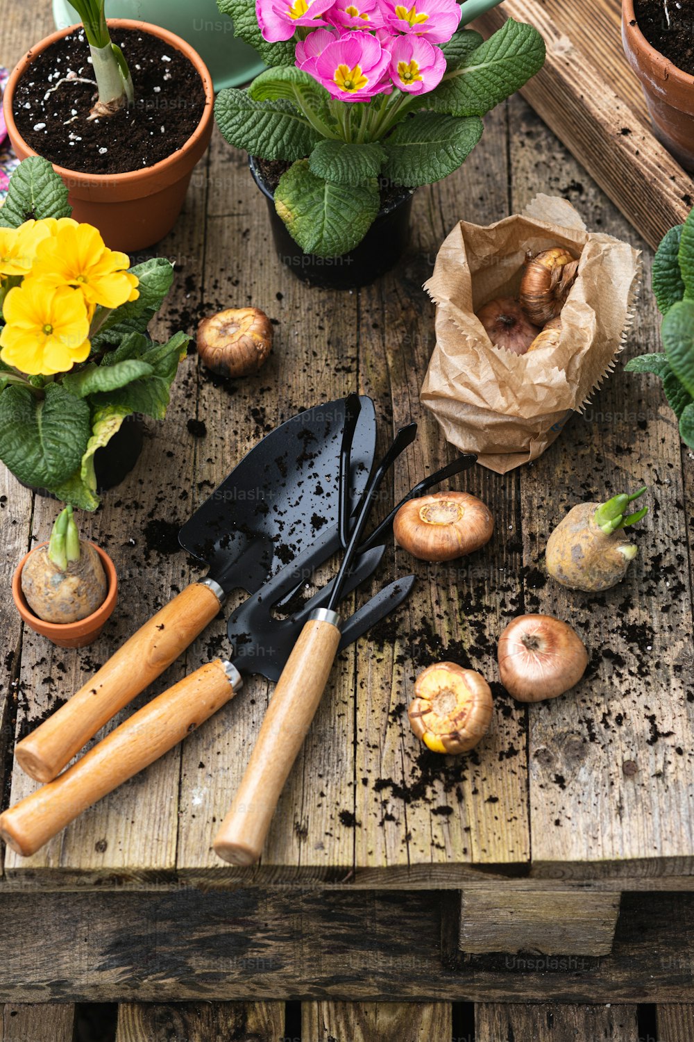 una mesa de madera cubierta con plantas en macetas y utensilios de jardinería