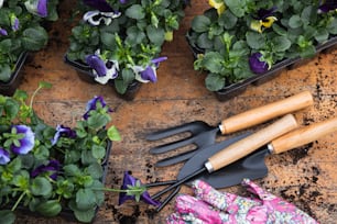 a garden set with gardening utensils and flowers