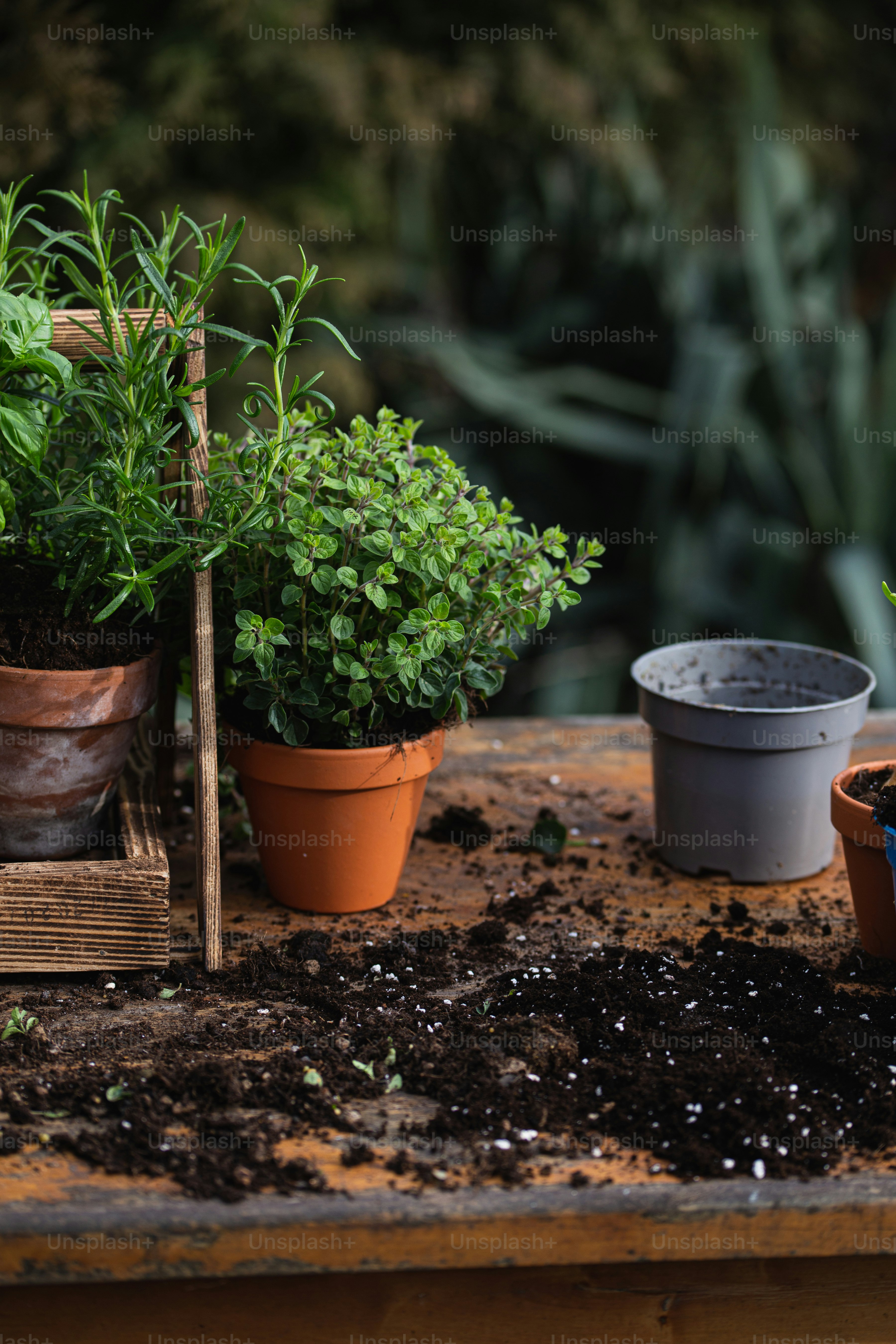 a wooden table topped with potted plants and dirt