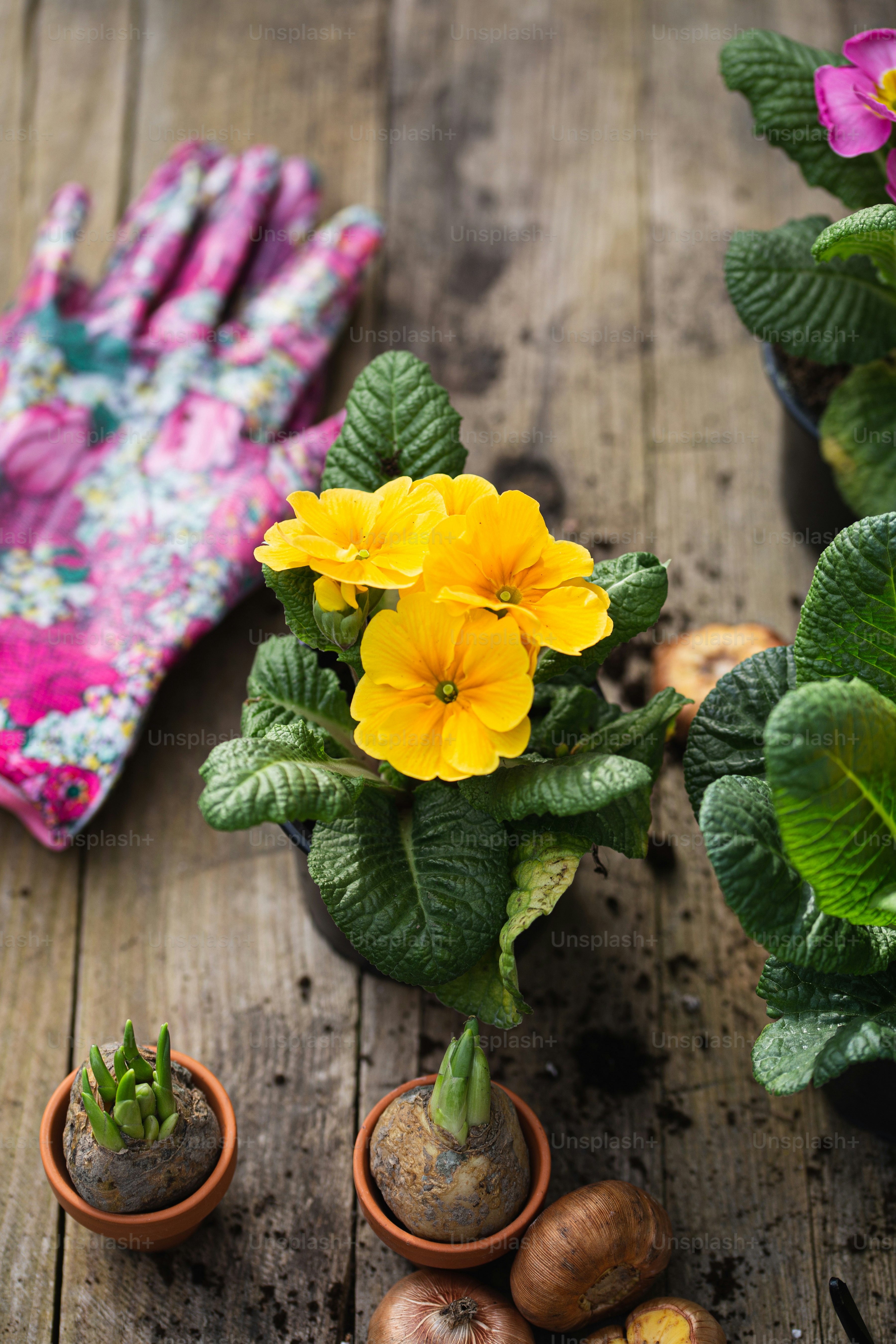 uma mesa de madeira coberta com vasos de plantas e flores