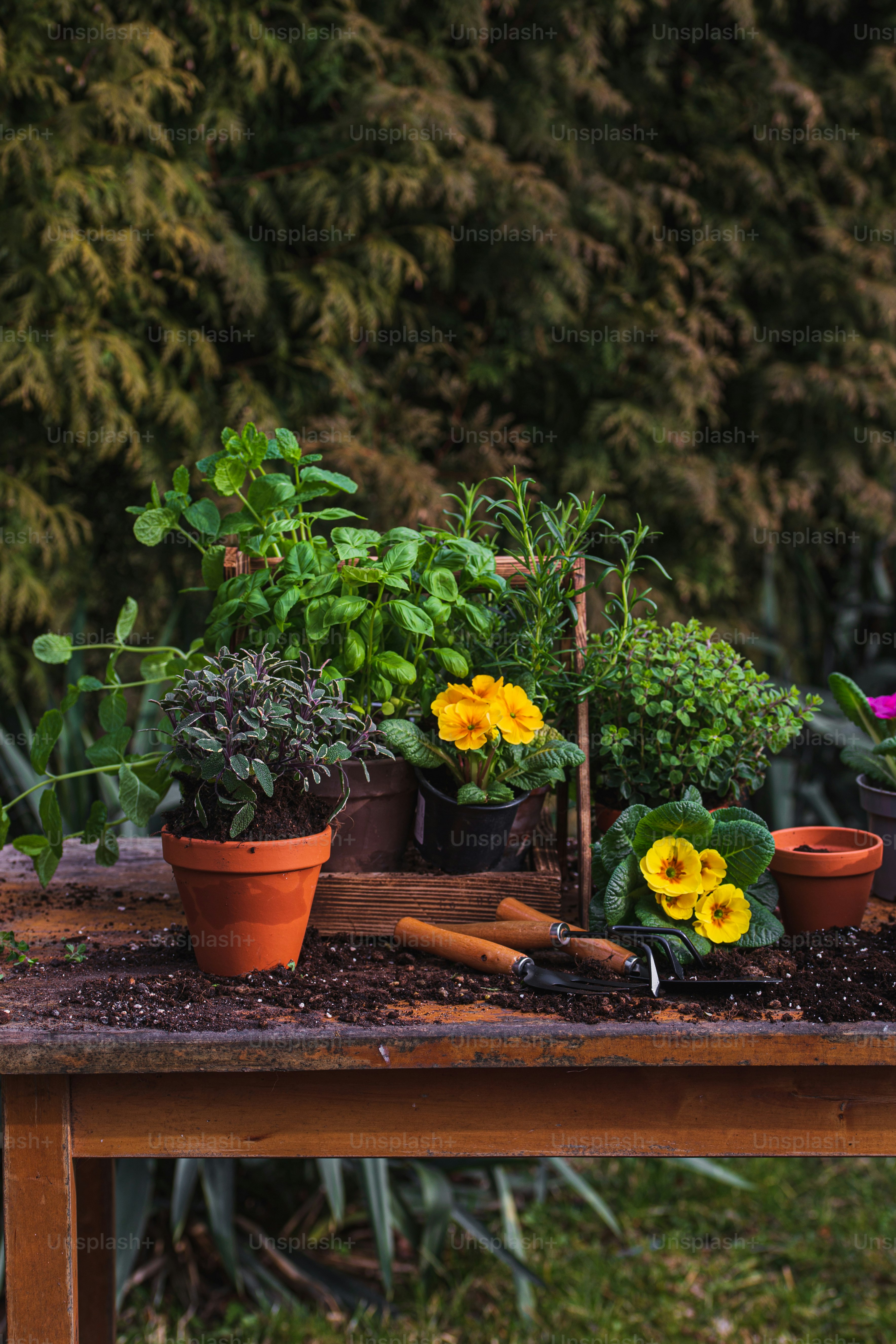 a wooden table topped with lots of potted plants