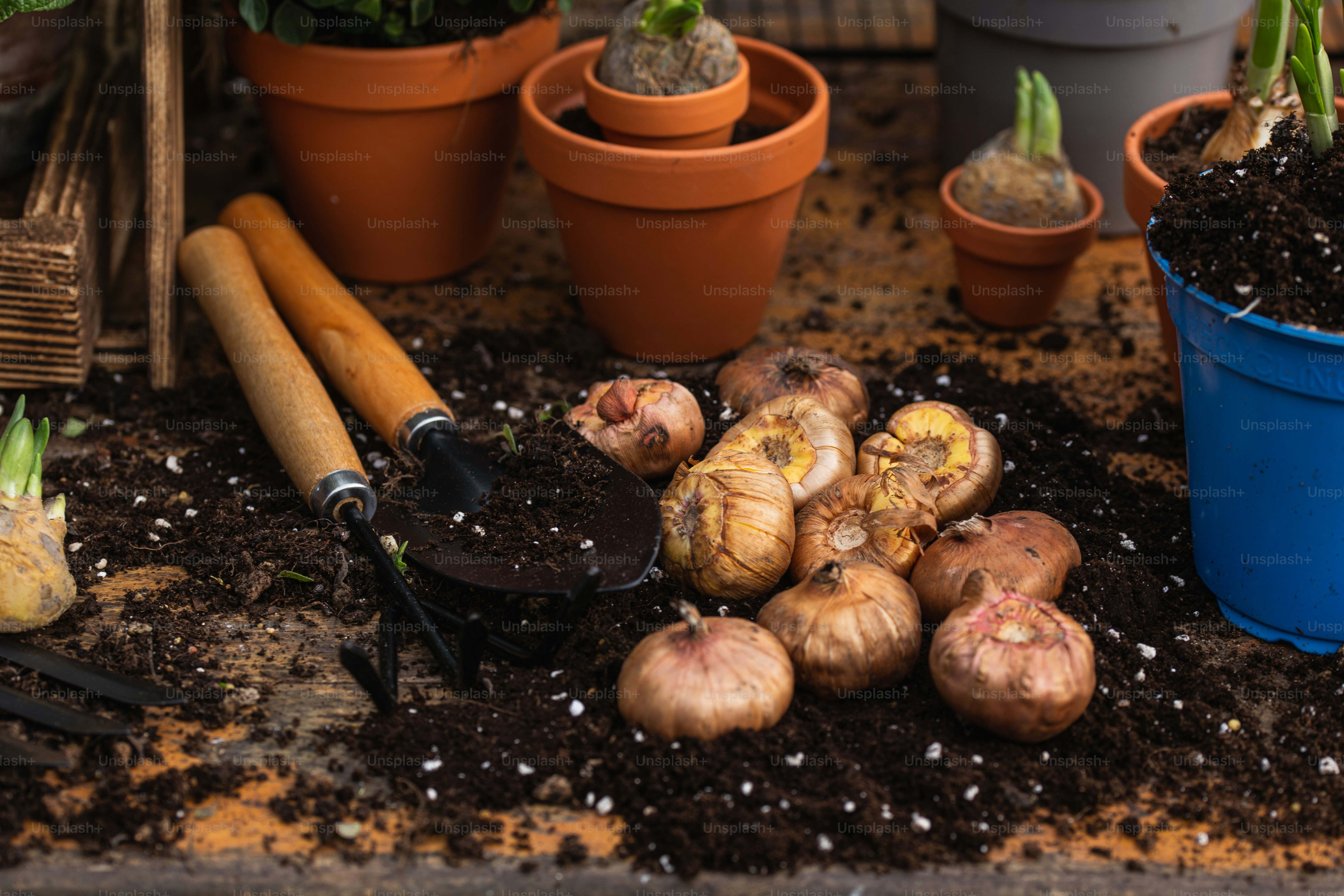 나무 테이블 위에 앉아 있는 화분 그룹