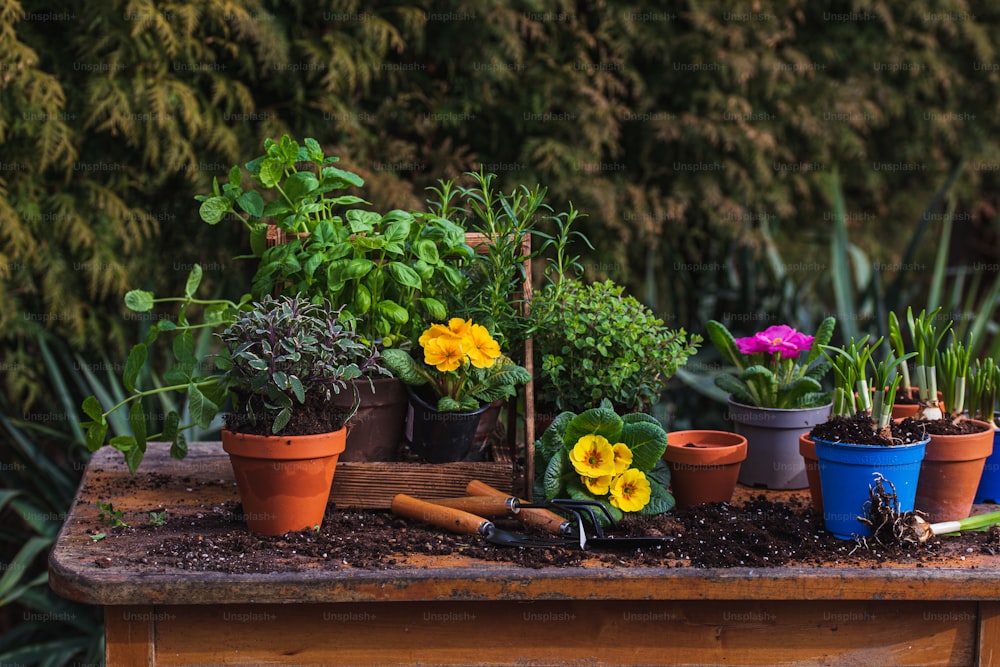 a wooden table topped with lots of potted plants