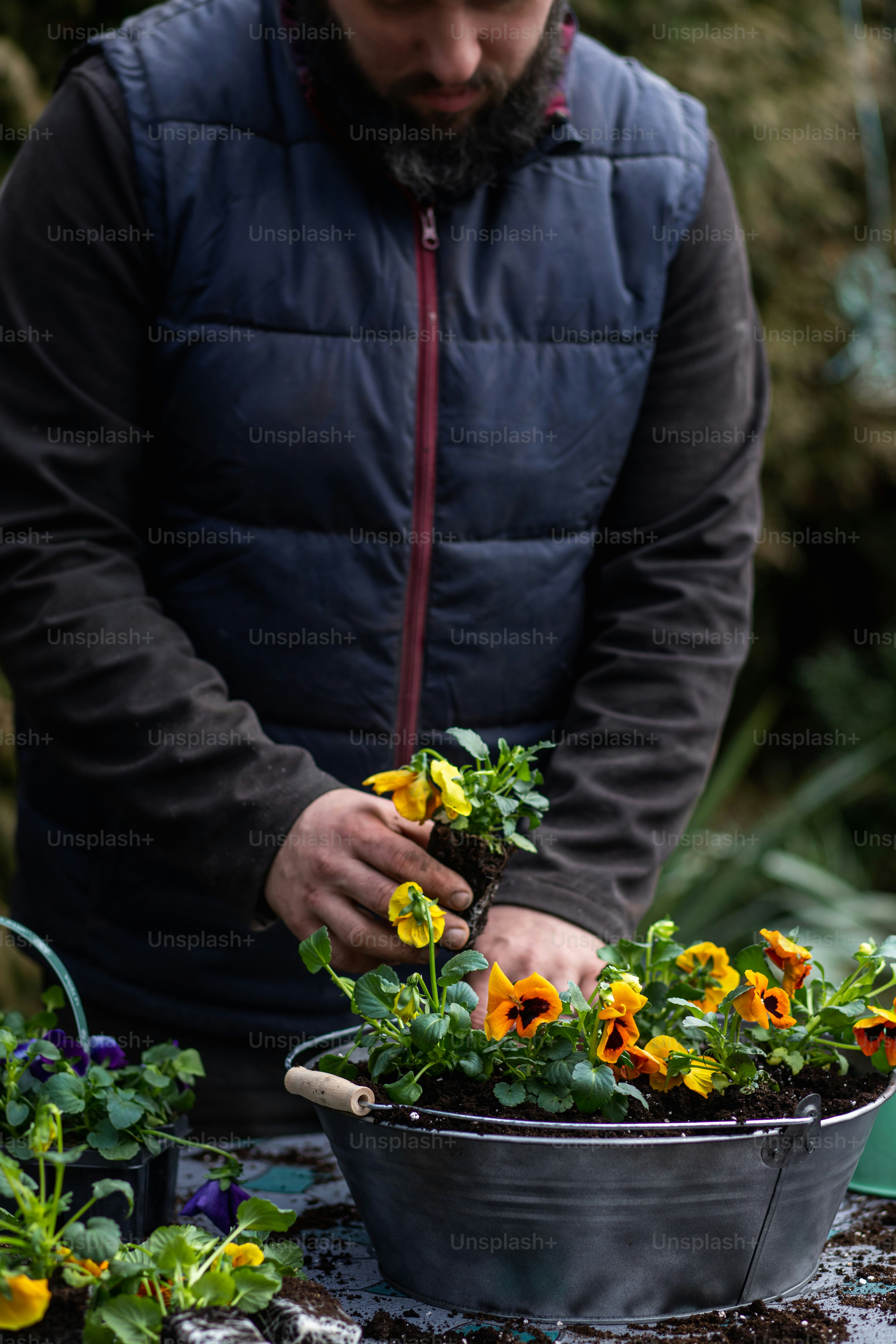 a man is tending to a potted plant