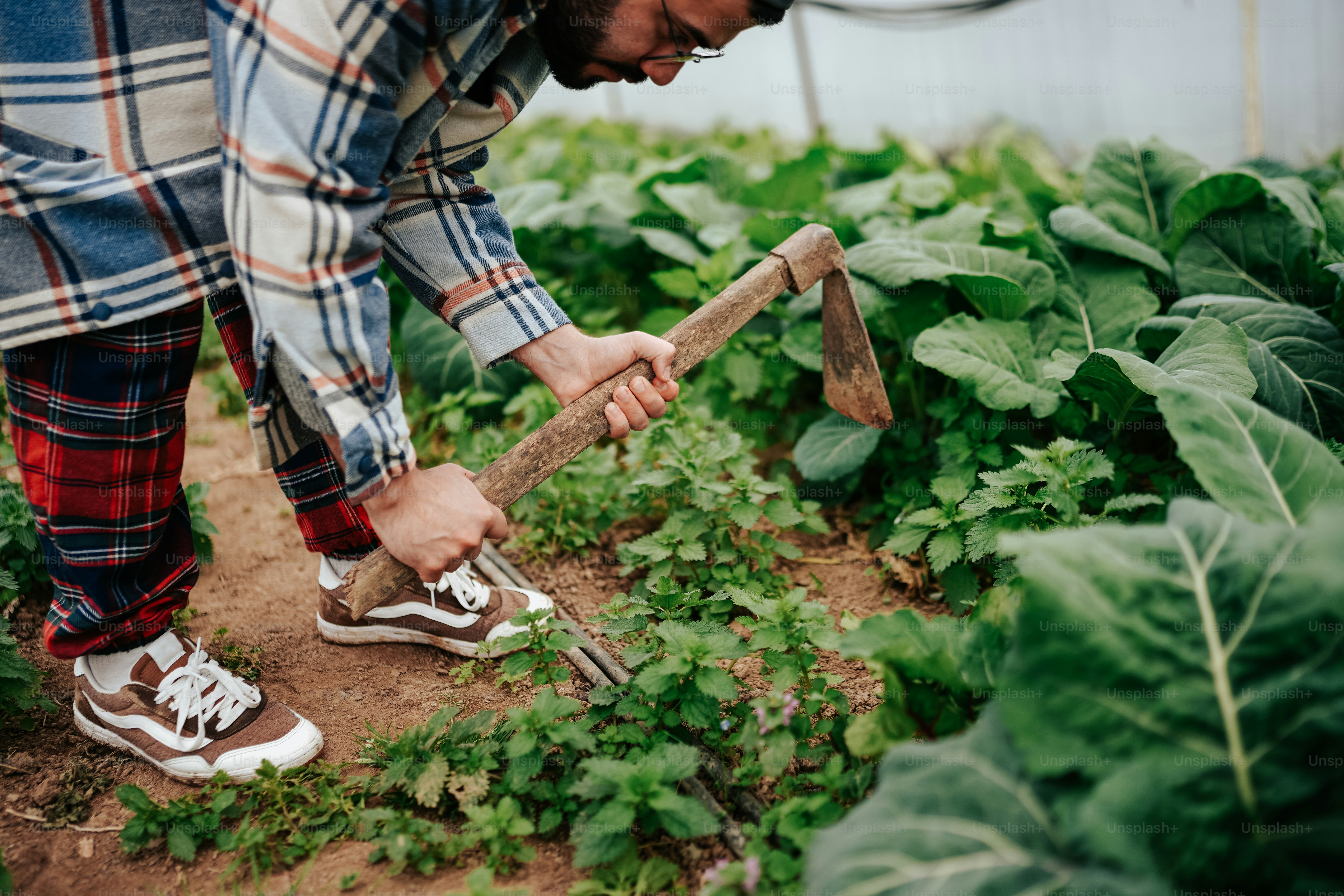 a man in plaid pants and sneakers holding a pickle in a garden