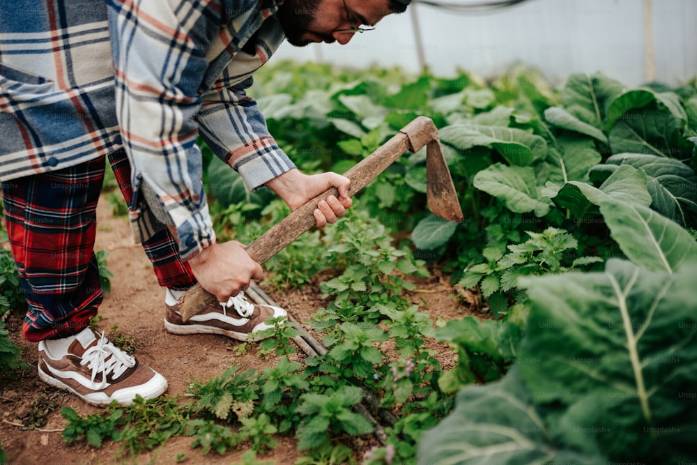 a man in plaid pants and sneakers holding a pickle in a garden