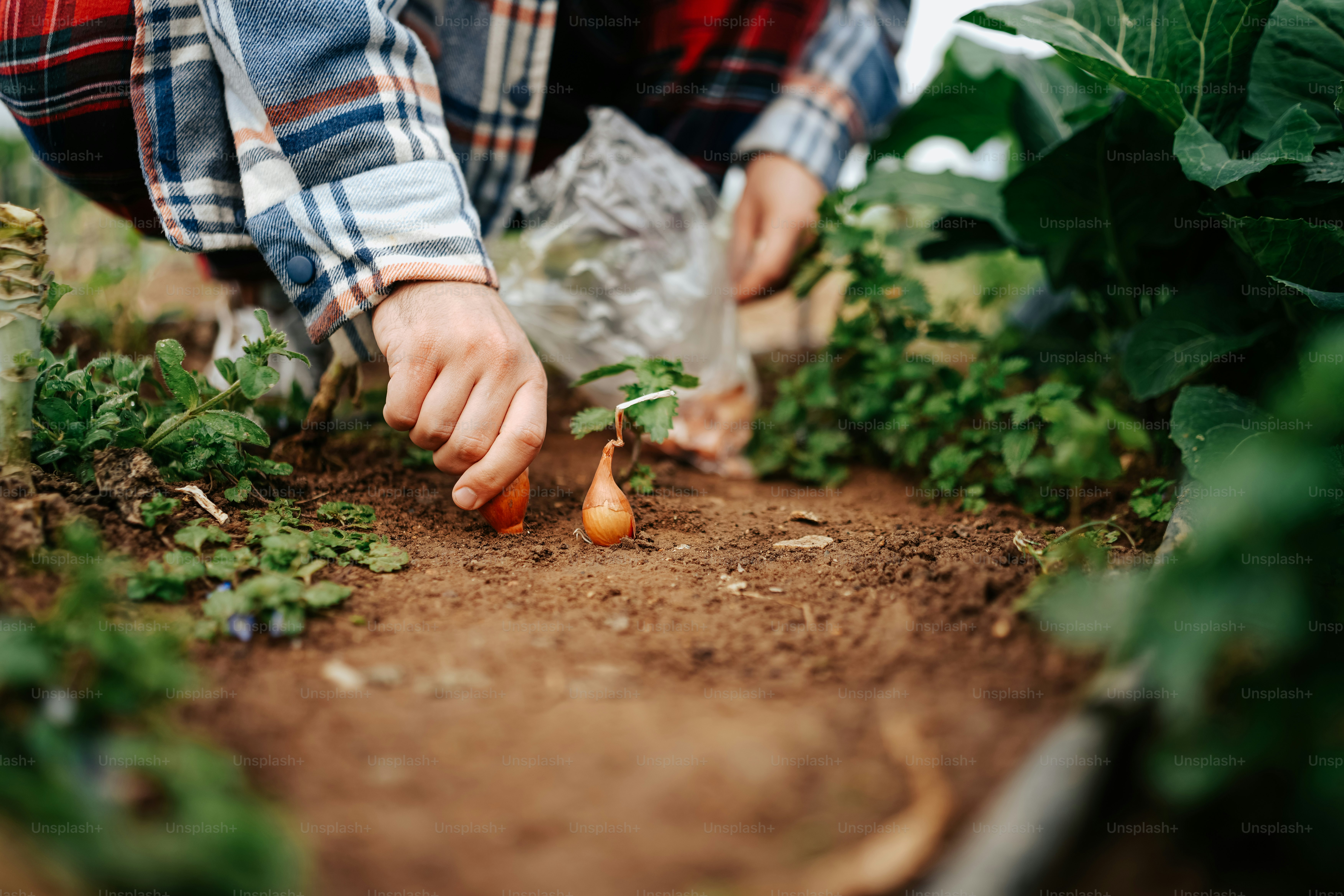 Atelier Saint-Martin Motoculture