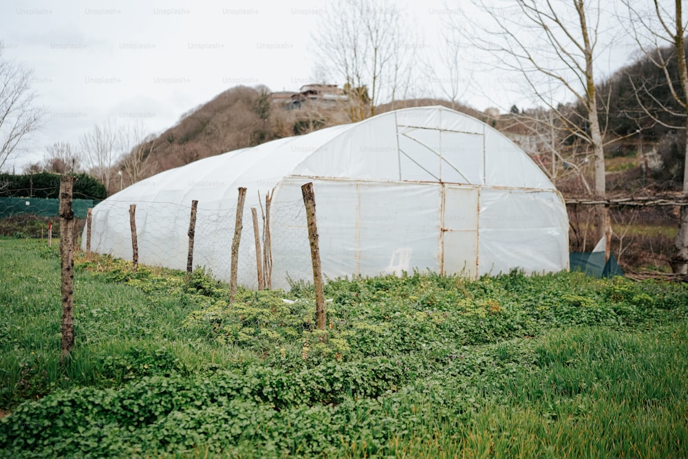 a large white greenhouse in a field of green grass
