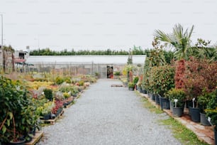 a garden filled with lots of potted plants