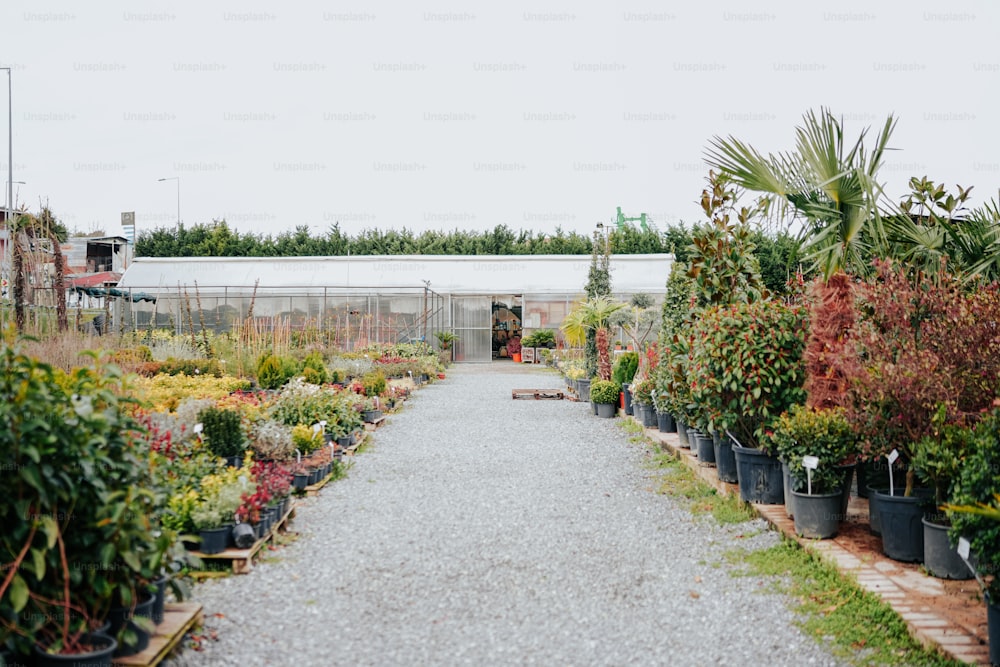 a garden filled with lots of potted plants