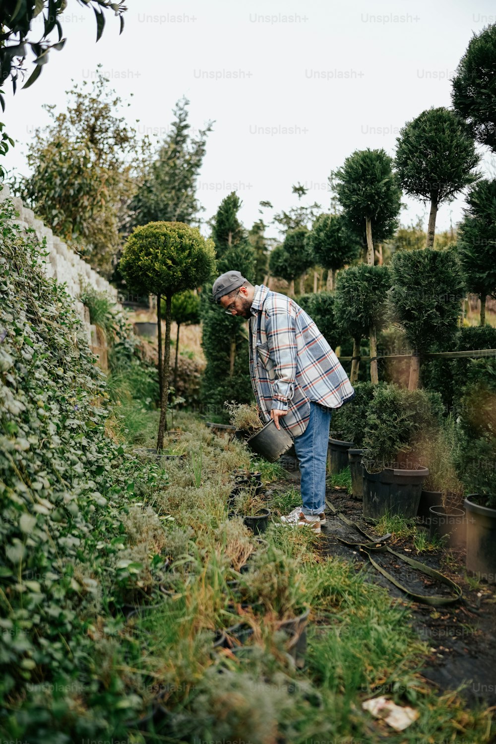 Un hombre con camisa a cuadros y jeans regando plantas