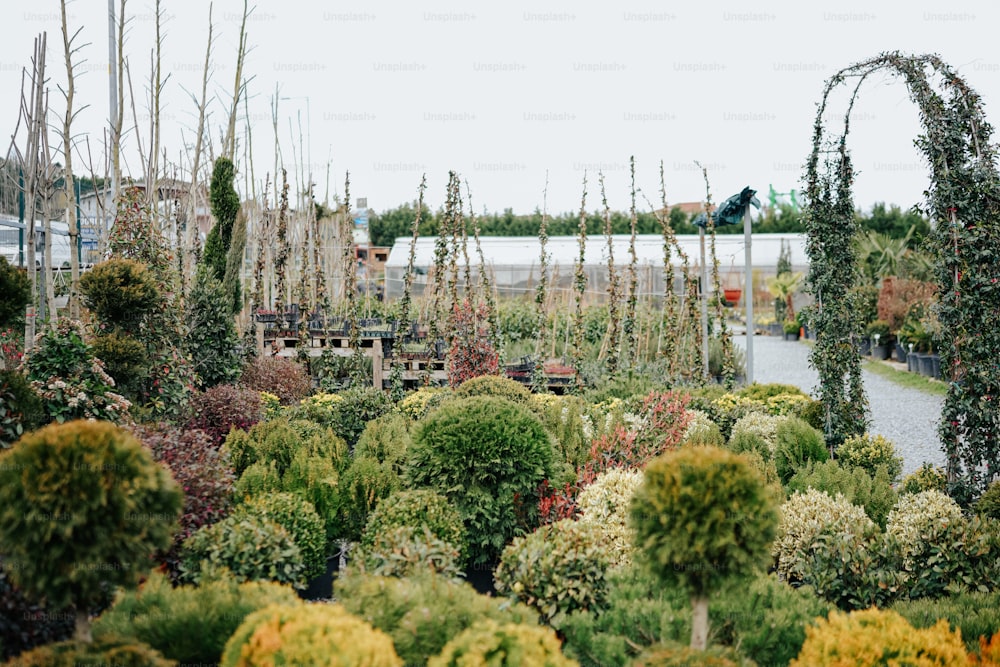 a garden with lots of trees and bushes