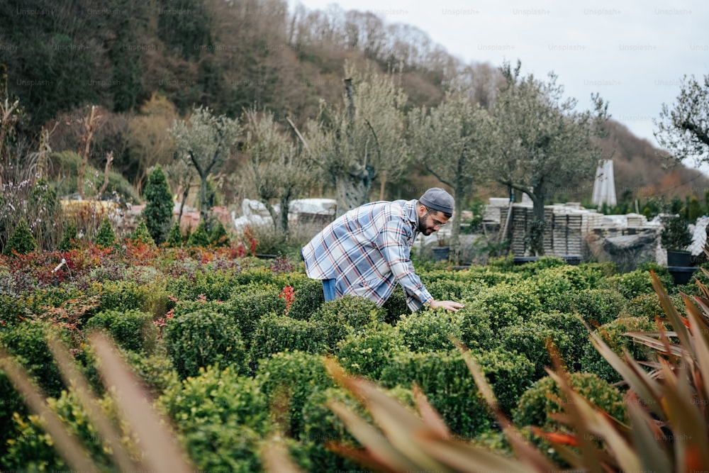 a man in plaid shirt picking plants in a field