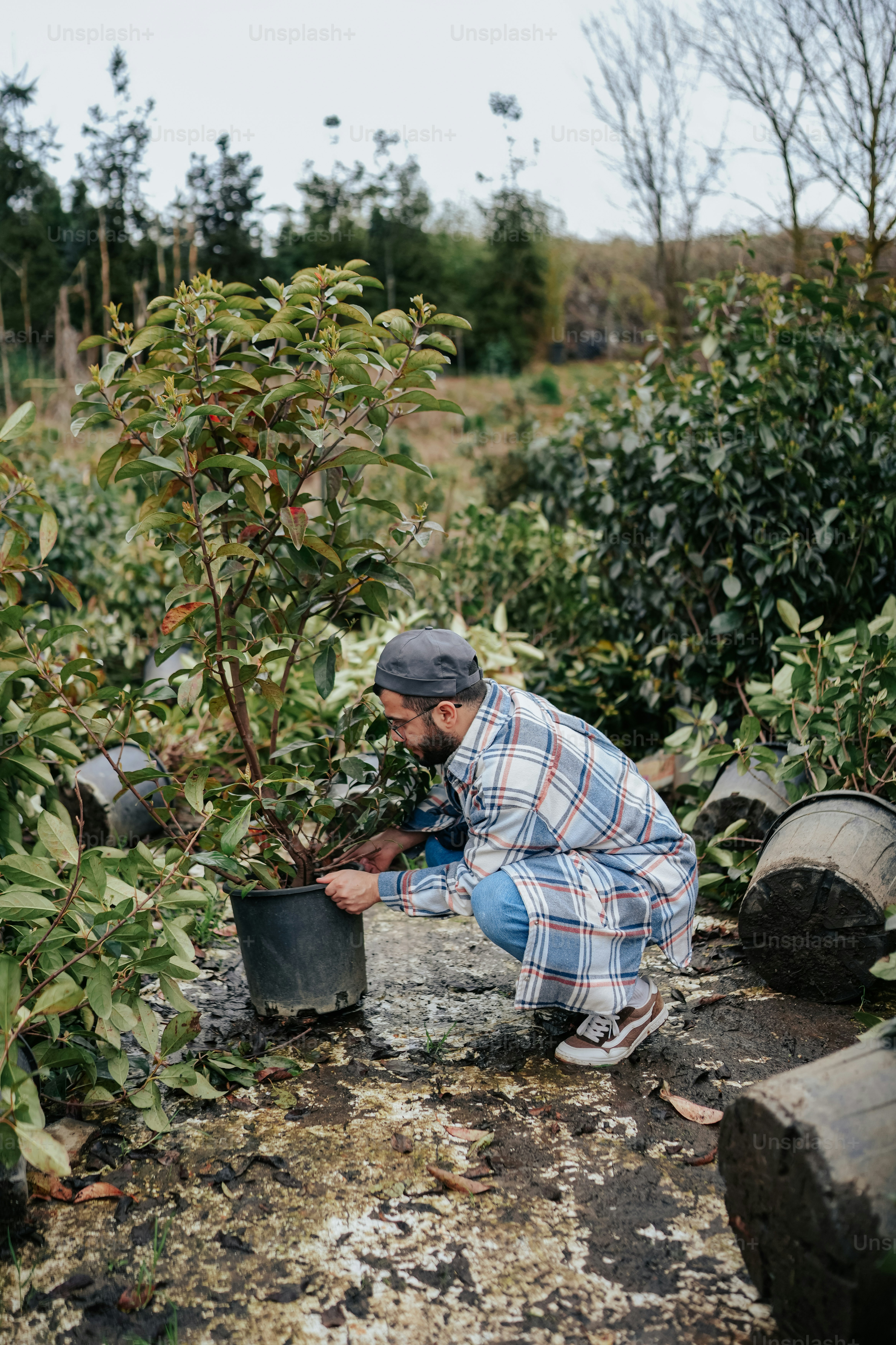 a man kneeling down next to a tree