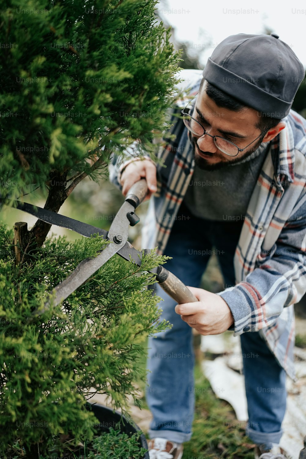 a man trimming a tree with a pair of scissors