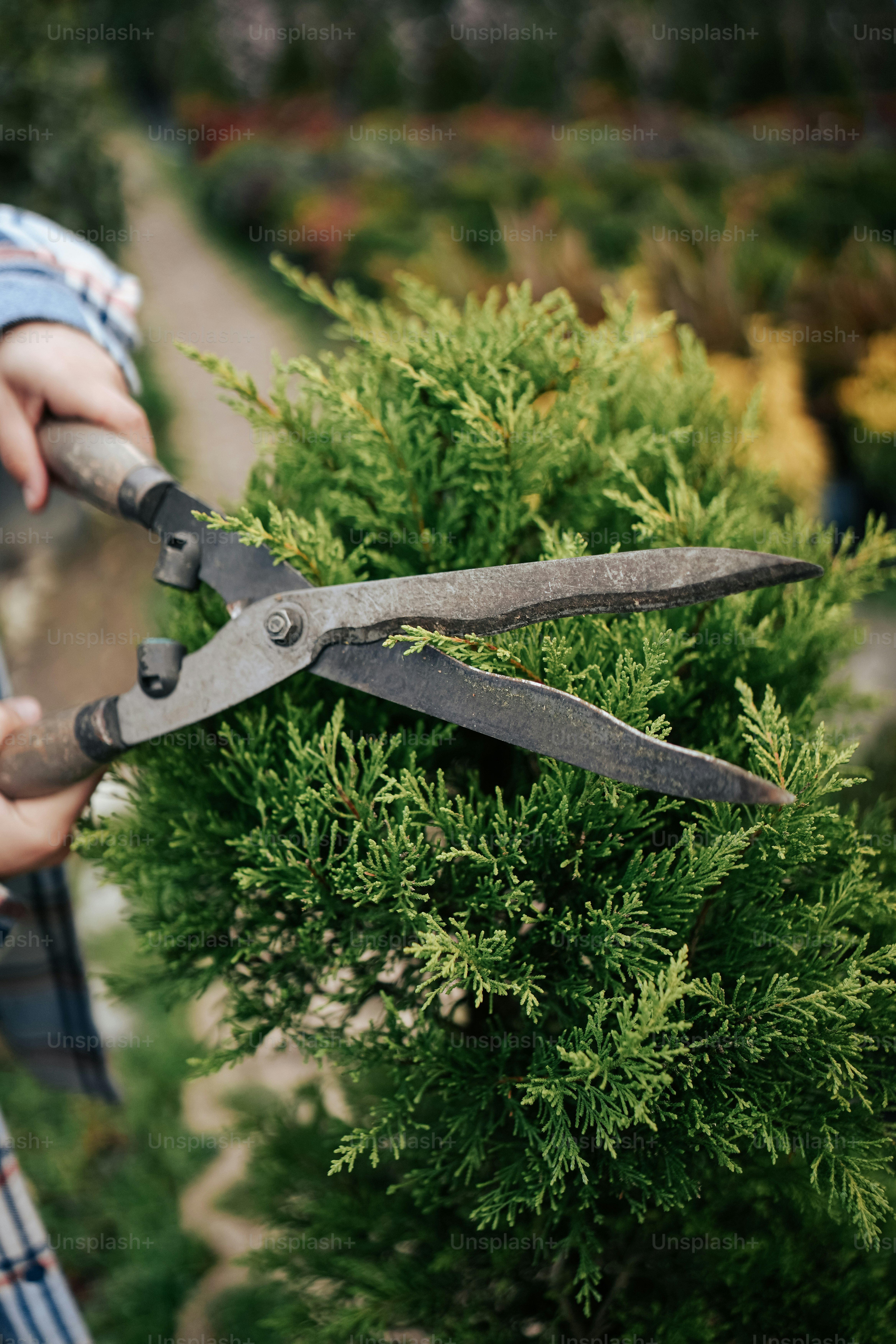 a person holding a pair of scissors in their hands