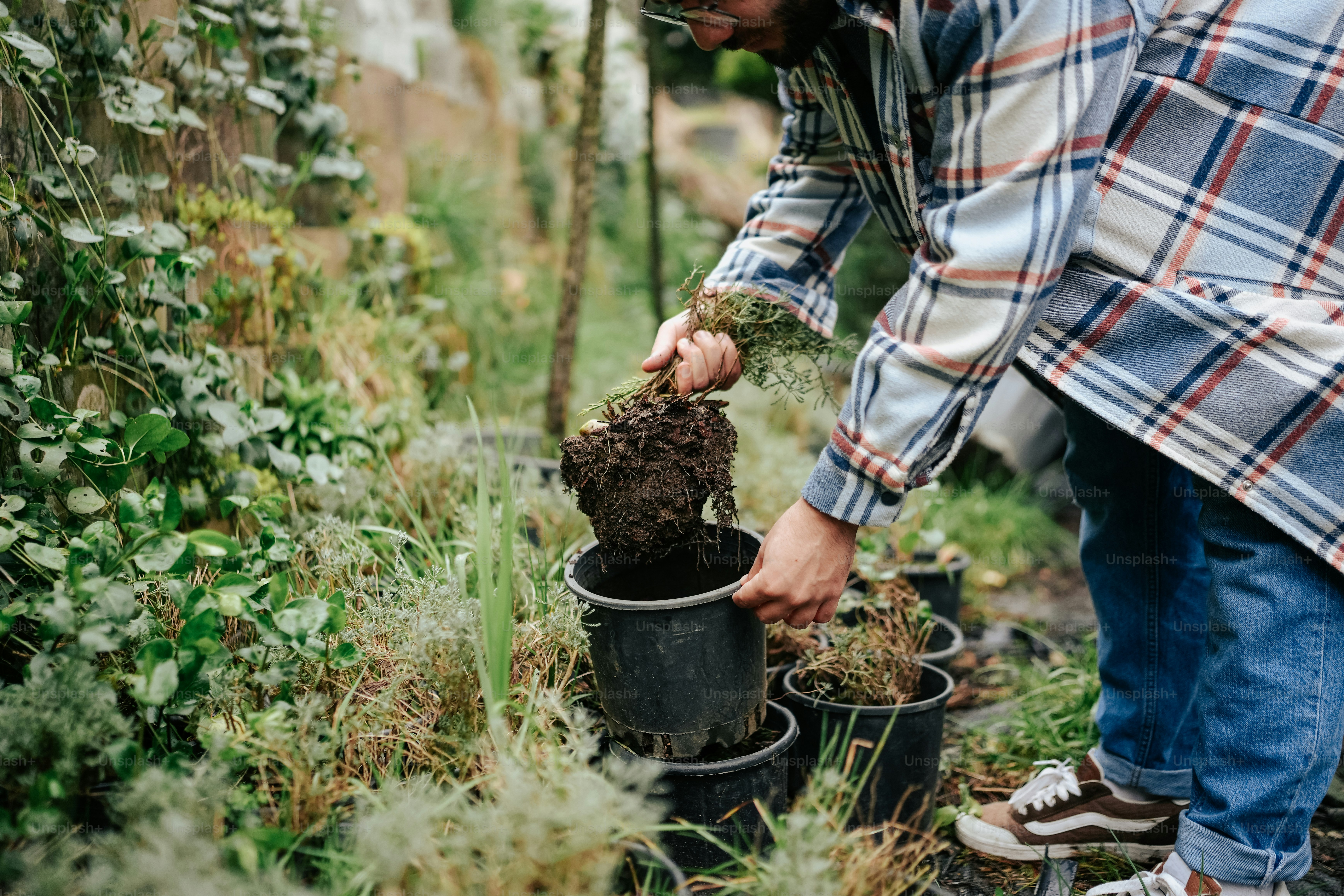 a man holding a potted plant in a garden
