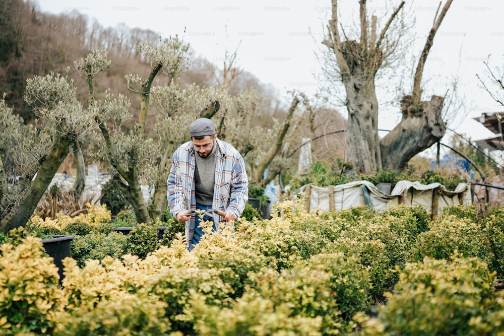 a man is working in a garden with yellow flowers