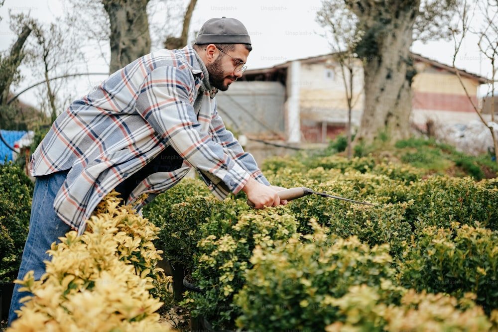 a man in plaid shirt trimming bushes with scissors