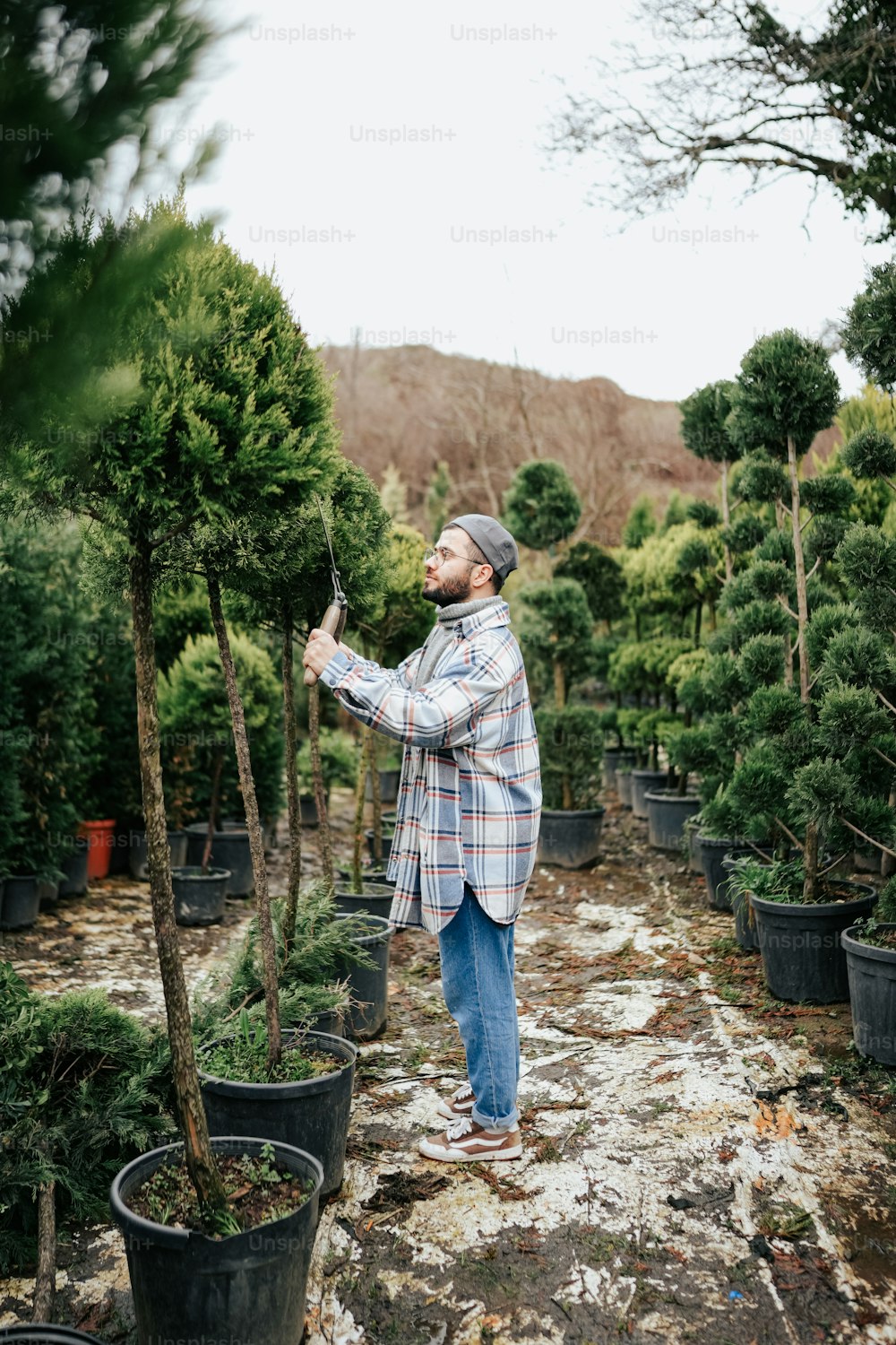 a man in a plaid shirt is standing in a tree nursery