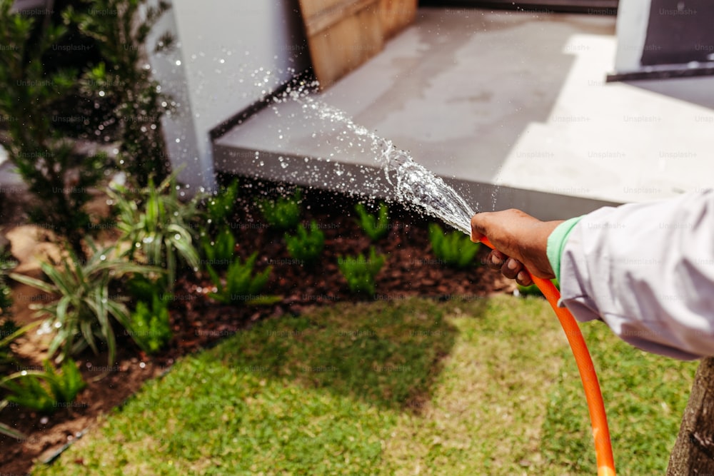 a person is spraying water on a lawn