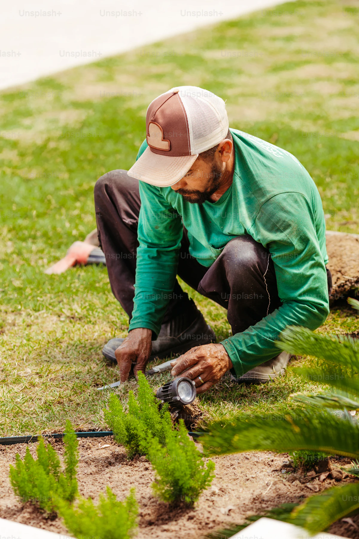Landscaper crouching at lawn edge adjusting irrigation fixture beside mulched bed and drip tubing