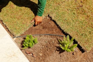 a person is digging in the ground with a garden hose