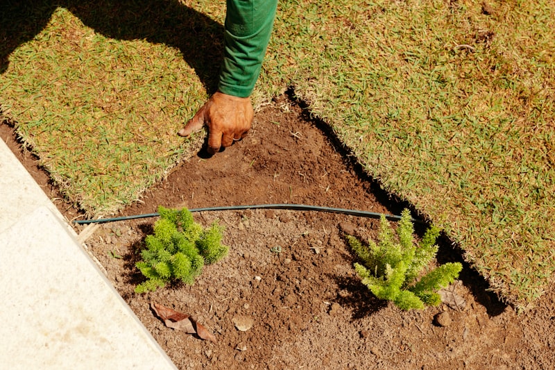 観葉植物の水はけが悪いときの改善方法｜土・鉢・管理の見直し