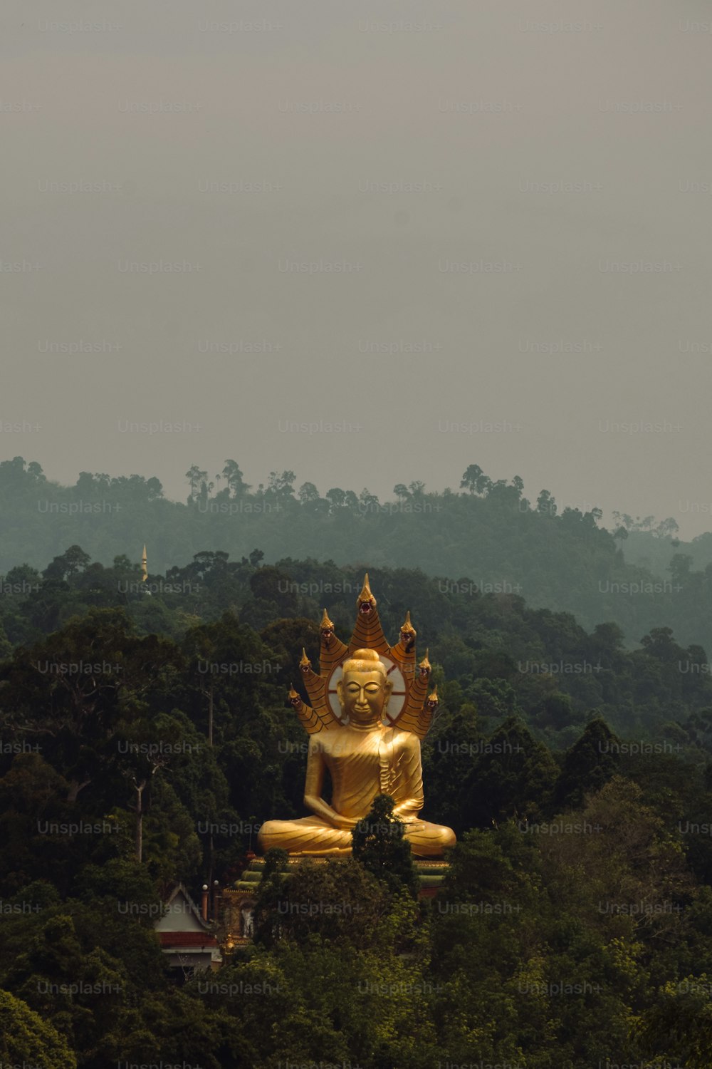 uma grande estátua dourada de buda sentada no topo de uma floresta verde exuberante