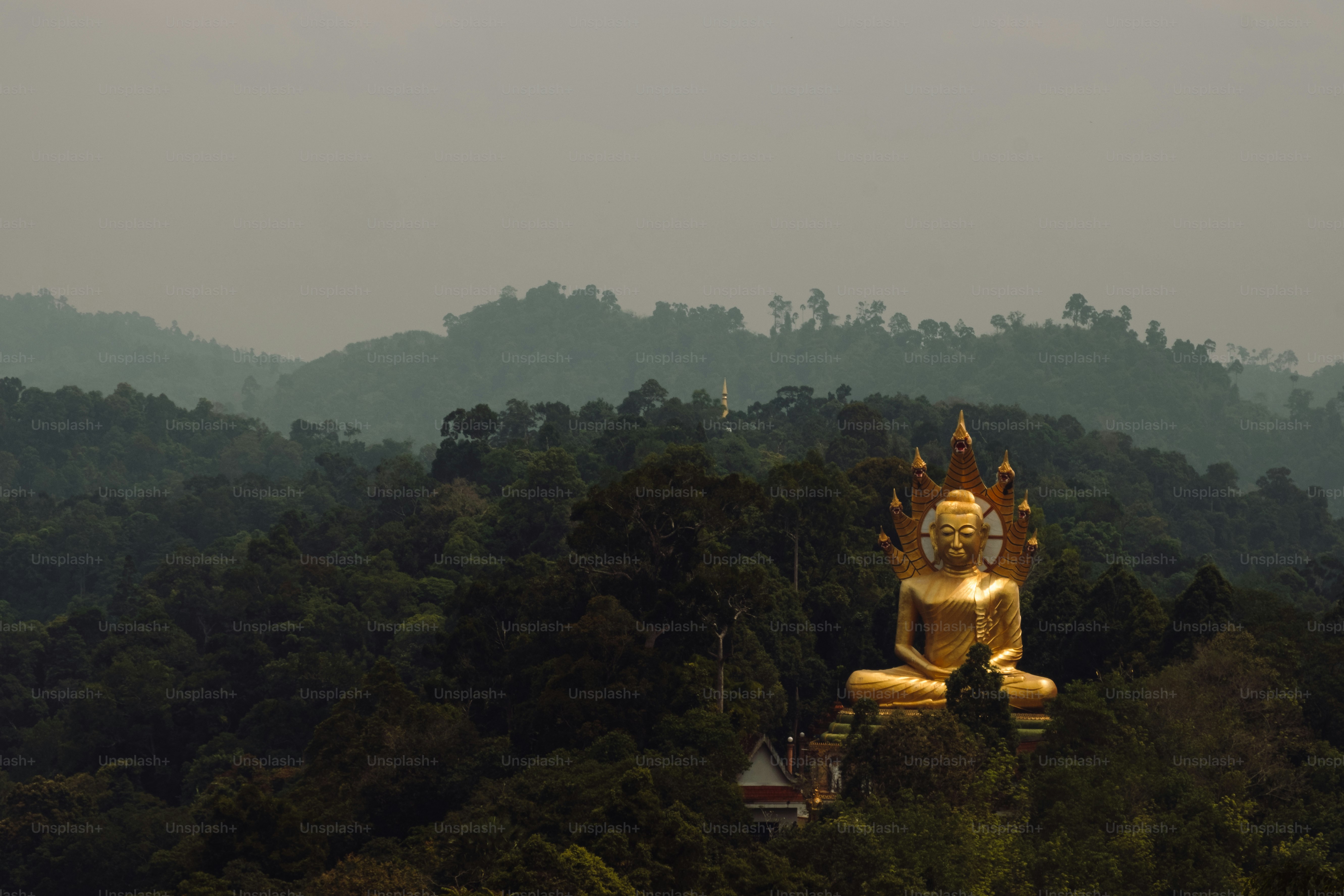 Una gran estatua dorada de Buda sentada en la cima de un exuberante bosque verde