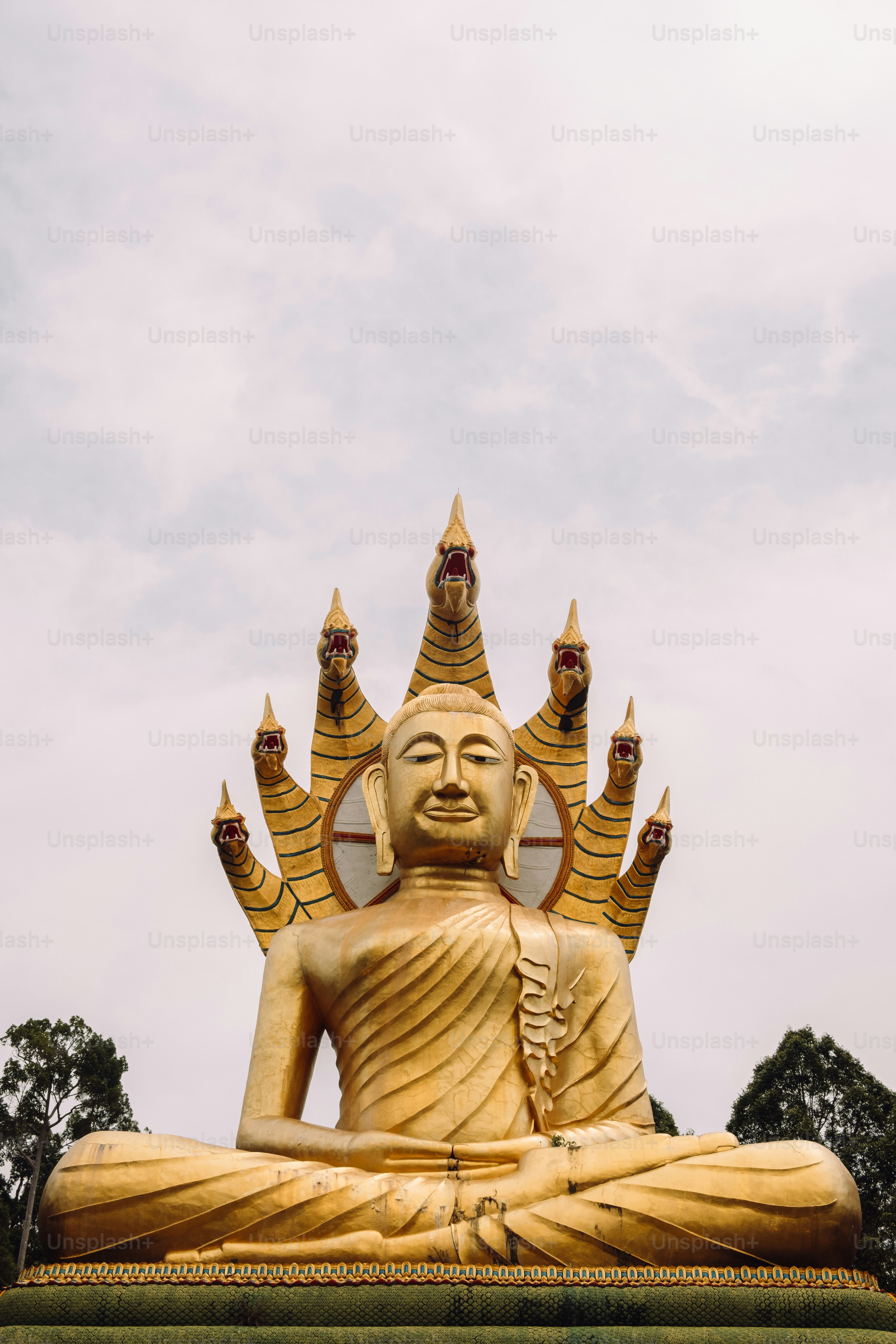 A large golden buddha statue sitting on top of a lush green field photo ...