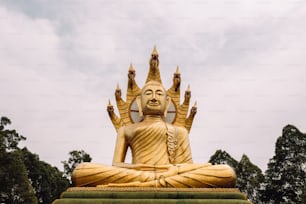 a golden buddha statue sitting on top of a lush green field