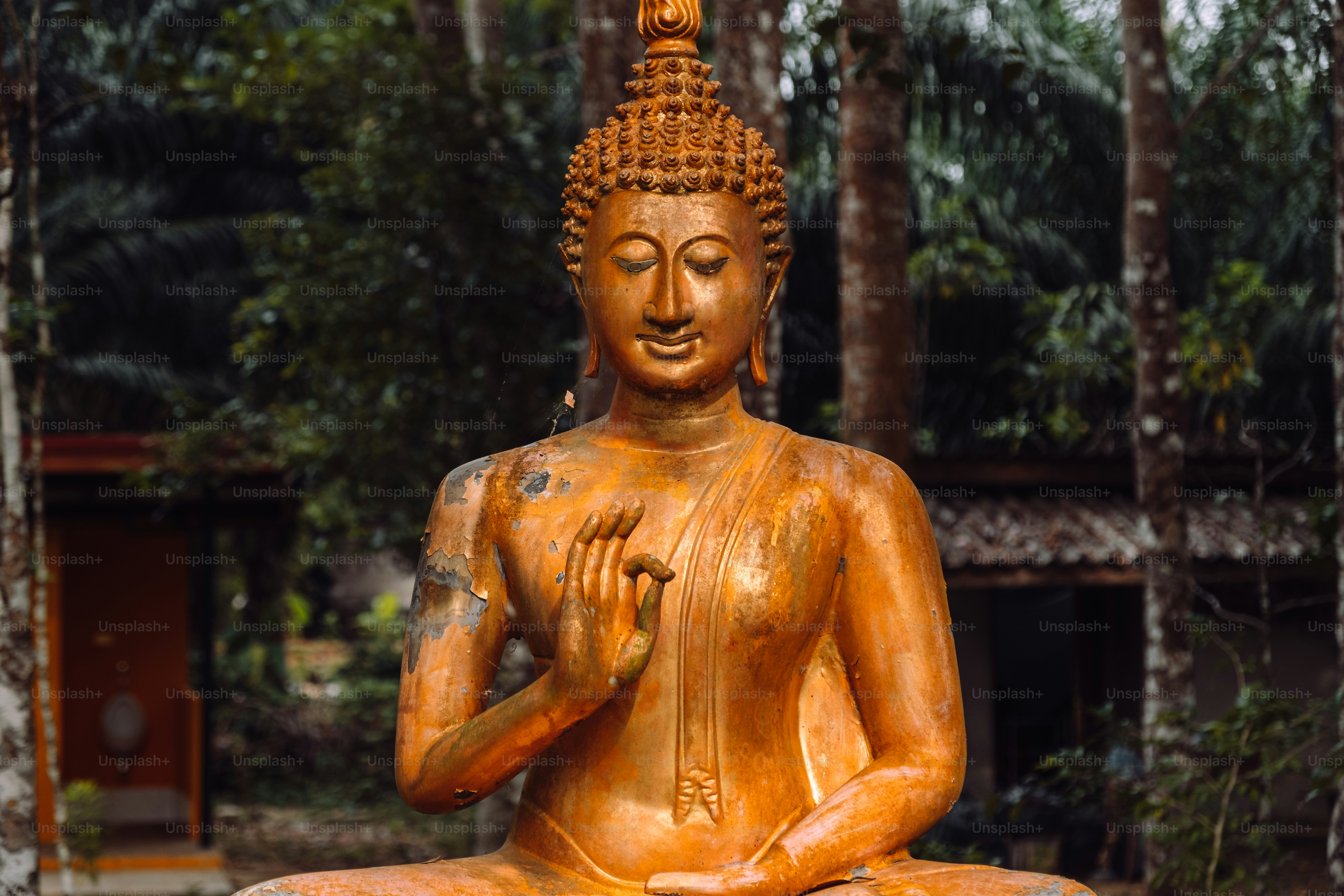 a buddha statue sitting in the middle of a forest