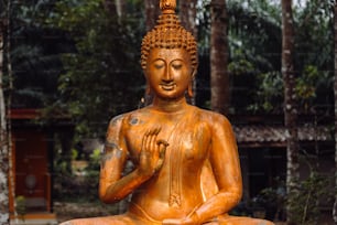 a buddha statue sitting in the middle of a forest