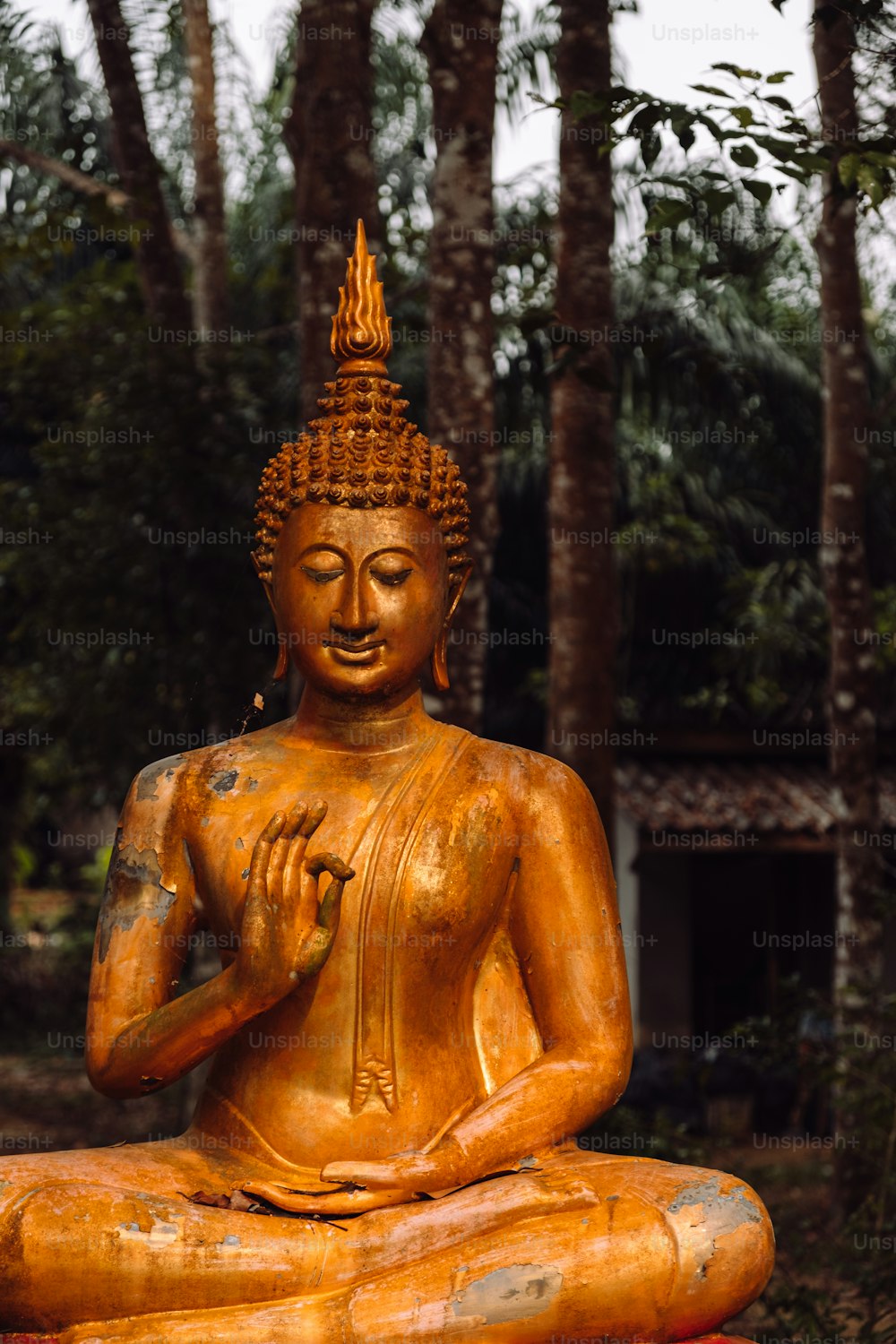 a golden buddha statue sitting in a forest