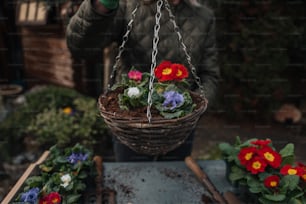 a person holding a basket with flowers in it