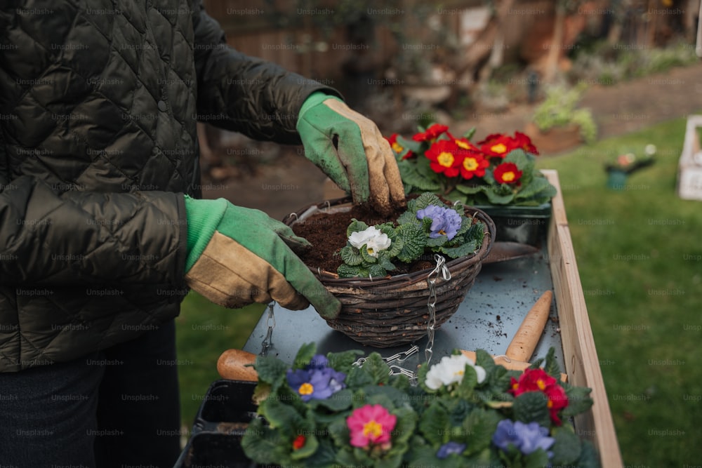 Una persona que usa guantes y guantes de jardinería está colocando flores en una canasta