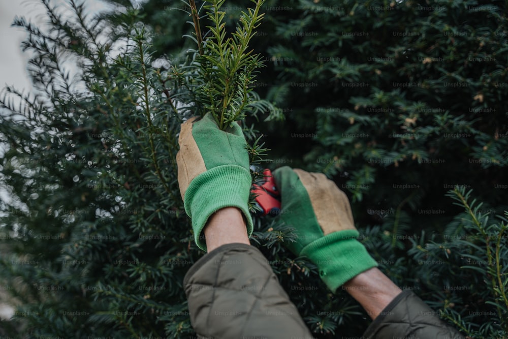 a person wearing green gloves and holding onto a tree