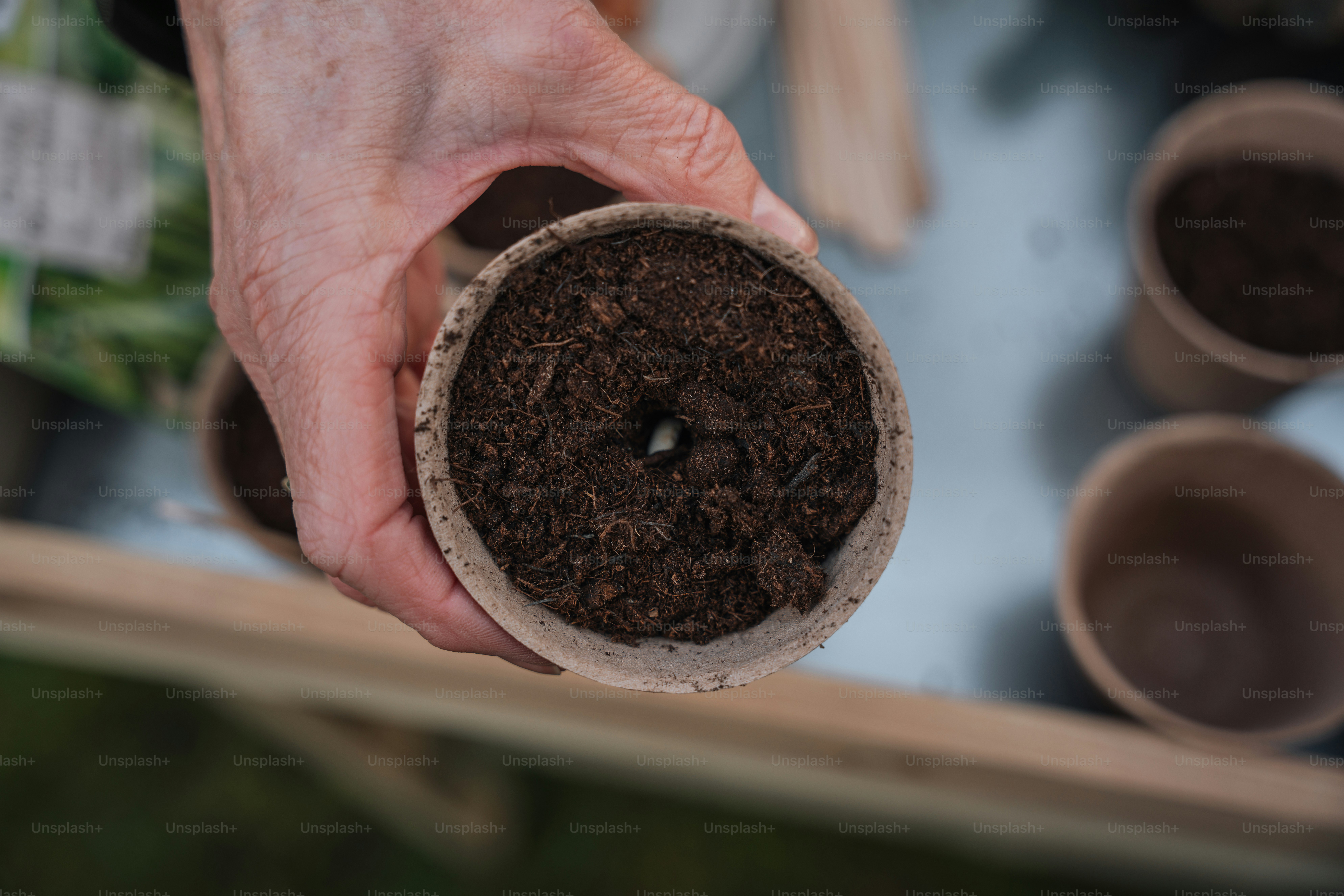 화분을 손에 들고 있는 사람